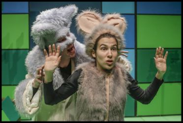 D. RAPOSA E OUTROS ANIMAIS