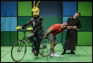 D. RAPOSA E OUTROS ANIMAIS