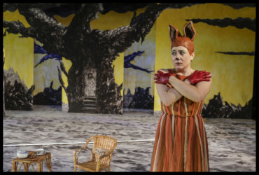 © Rui Mateus ROMANCE DA RAPOSA