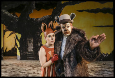 © Rui Mateus ROMANCE DA RAPOSA