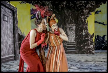 © Rui Mateus ROMANCE DA RAPOSA