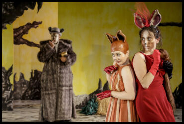 © Rui Mateus ROMANCE DA RAPOSA