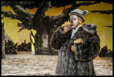 © Rui Mateus ROMANCE DA RAPOSA