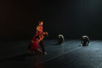 Teu Corpo Meu Eco; Filipe Portugal; Ensaio; Companhia Nacional de Bailado; CNB; Dança Contemporânea; Dança; Teatro Camões; Lisboa; © Hugo David 2020;